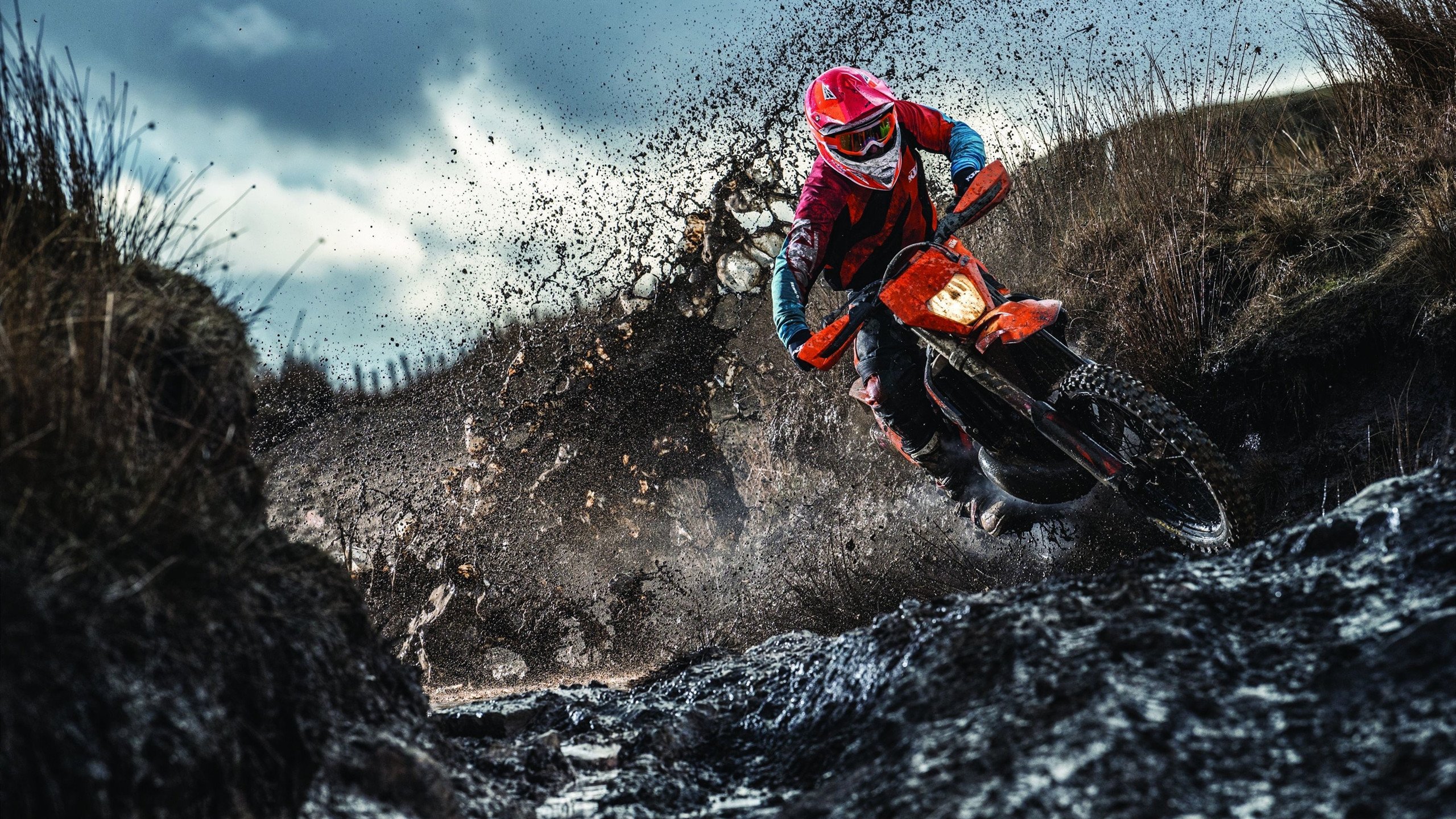 东决关键战焦点战，拜仁防守如何锁死美国篮球风暴？